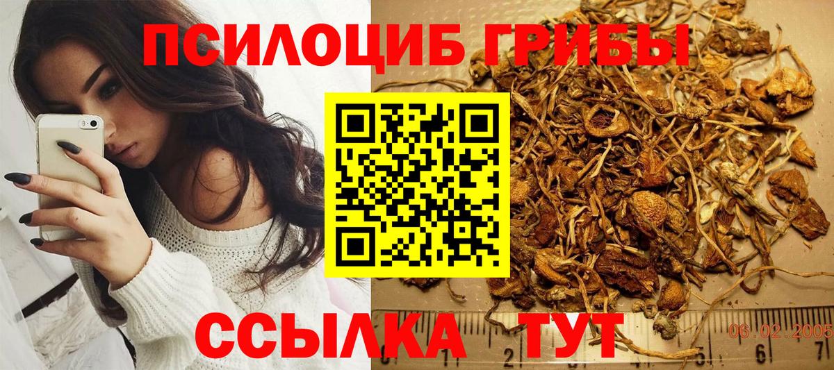 Псилоцибиновые грибы GOLDEN TEACHER Карталы