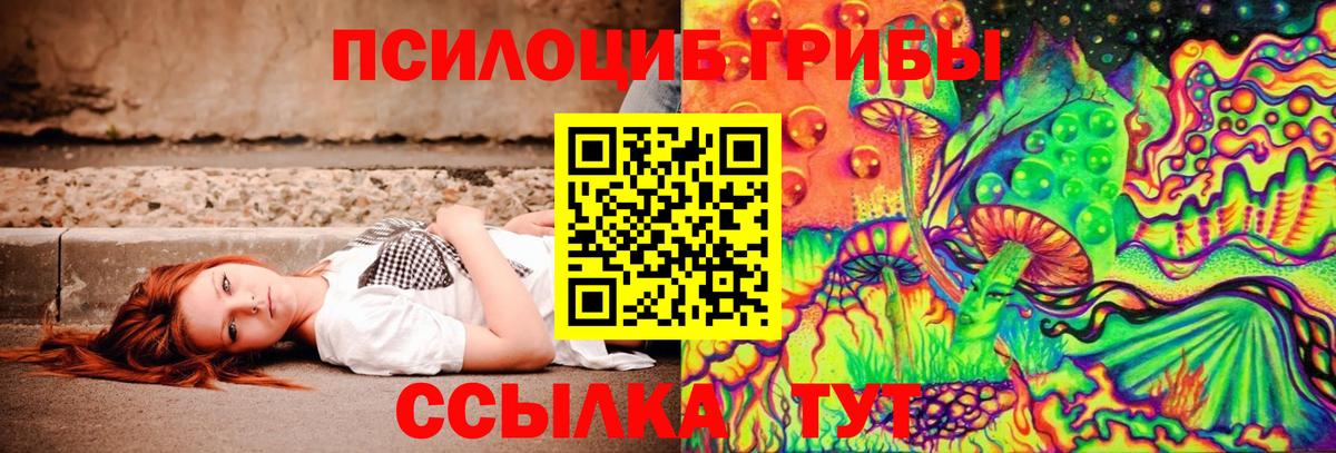 Галлюциногенные грибы ЛСД  где купить наркотик  Карталы  Вход с VPN 